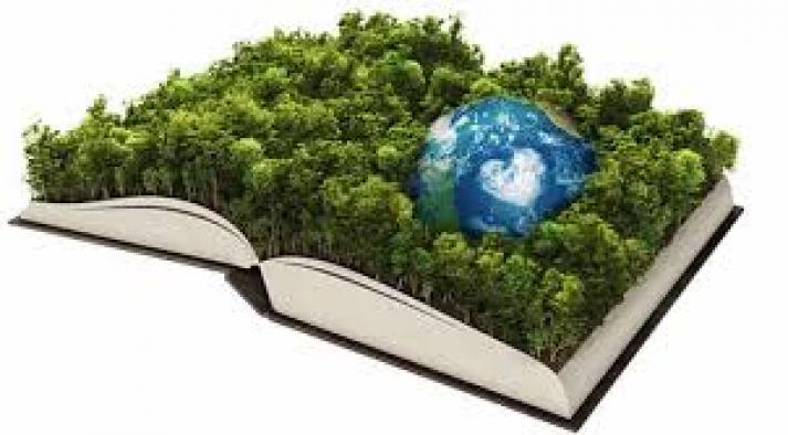 Educación Ambiental: una ley imprescindible