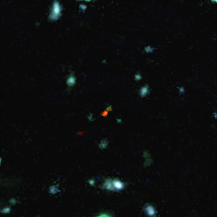ALMA observa, por primera vez, cómo se forman las galaxias en el universo temprano