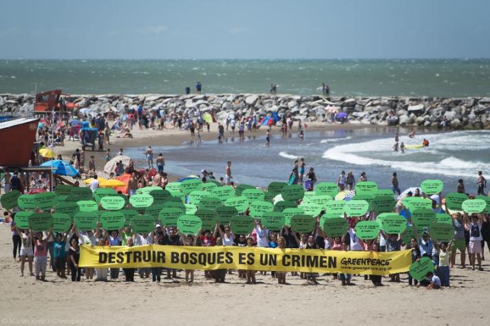 Greenpeace en Playa varese