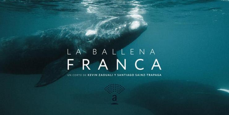 El cortometraje "La Ballena Franca" en el Teatro Auditorium