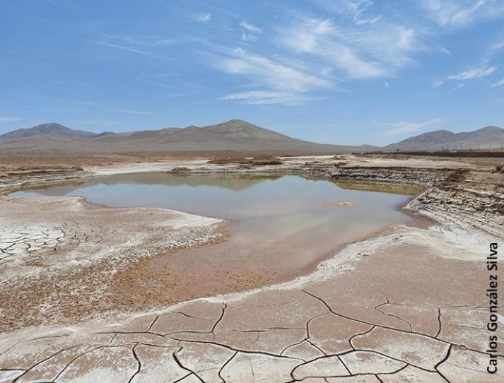 Lluvias en el desierto de Atacama