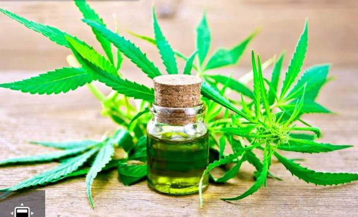 Farmacias bonaerenses dispensarán cannabis (aceite)